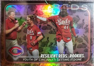 Resilient Reds Rookies