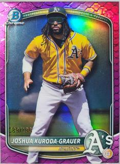 Joshua Kuroda-Grauer
