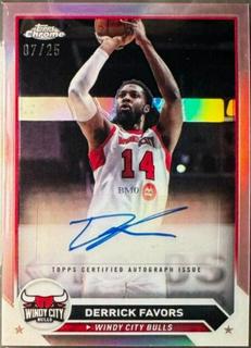 Derrick Favors