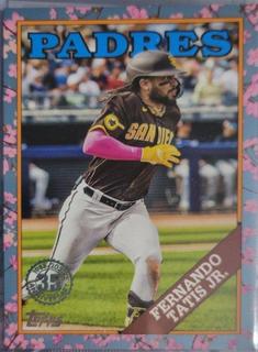 Fernando Tatis Jr.