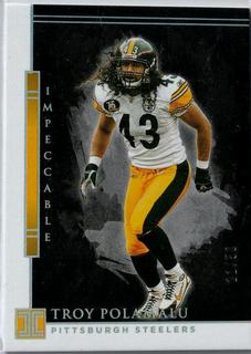 Troy Polamalu