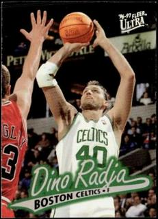 Dino Radja