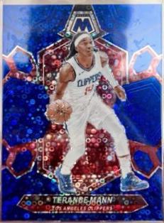 Terance Mann