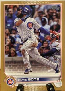 David Bote