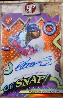 Vladimir Guerrero Jr.