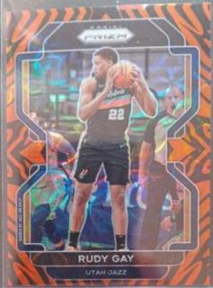 Rudy Gay