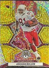 Anquan Boldin