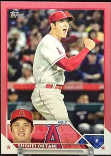 Shohei Ohtani