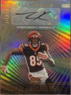 Tee Higgins