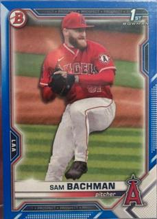 Sam Bachman
