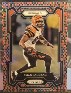 Chad Johnson