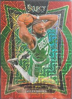 Jaylen Brown