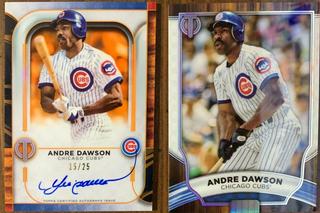 Andre Dawson