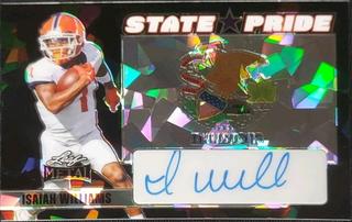 Isaiah Williams