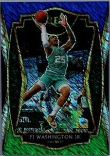 PJ Washington Jr.