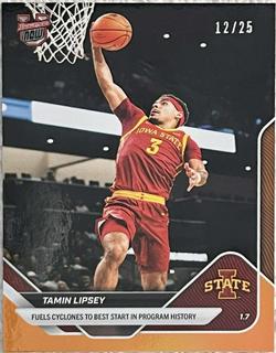 Tamin Lipsey