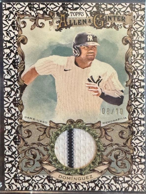 Jasson Dominguez [Brooklyn Back] #AGR-JDO