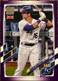 Andrew Benintendi