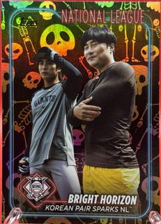 Ha-Seong Kim & Jung Hoo Lee