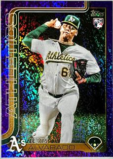 Elvis Alvarado