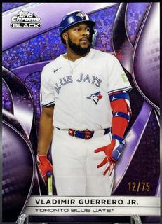 Vladimir Guerrero Jr.
