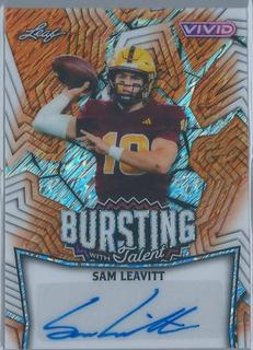 Sam Leavitt