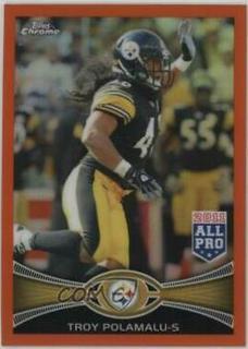 Troy Polamalu