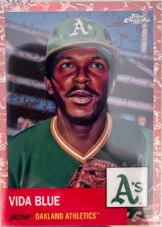 Vida Blue