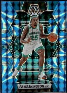 PJ Washington Jr.