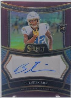 Brenden Rice