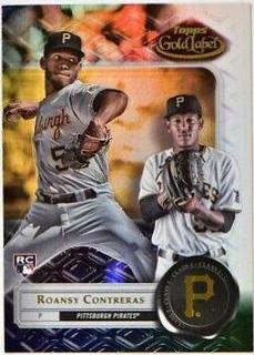 Roansy Contreras