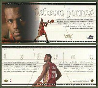 LeBron James Oversize