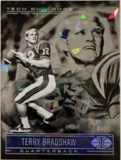 Terry Bradshaw