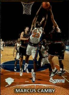 Marcus Camby