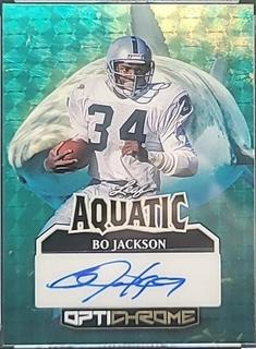 Bo Jackson