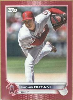 Shohei Ohtani