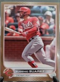 Eugenio Suarez