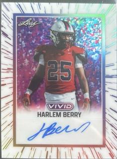 Harlem Berry