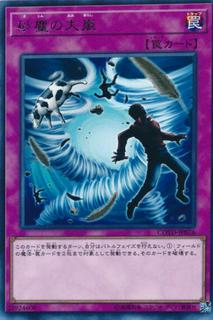 Heavy Storm Duster COTD-JP076