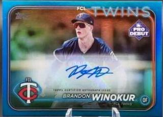 Brandon Winokur