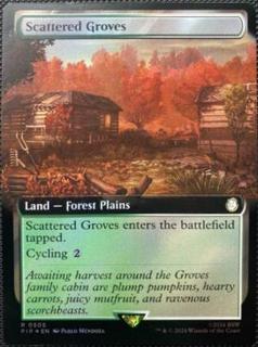 Scattered Groves