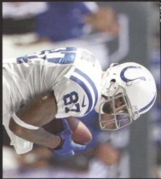 Reggie Wayne #84