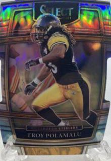 Troy Polamalu