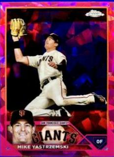 Mike Yastrzemski
