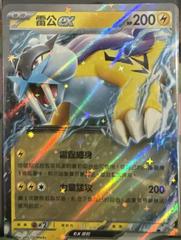 Raikou ex #24 from Chinese Storm Emeralda Pokémon card set