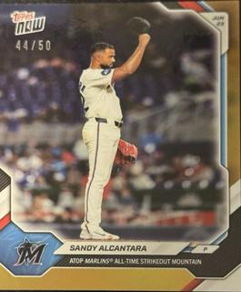 Sandy Alcantara