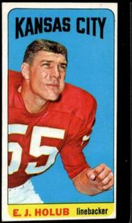 E.J. Holub