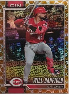 Will Banfield