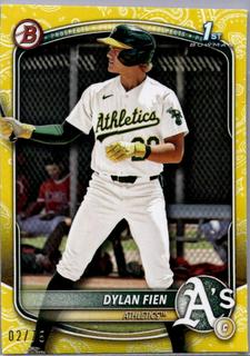 Dylan Fien