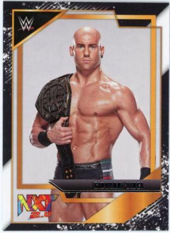 Fabian Aichner #13 Wrestling Cards 2022 Panini NXT WWE NXT Gold